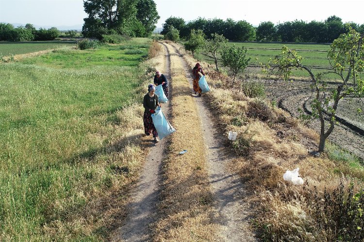 Tarladan çöp toplayan kadınlar kuzu kazandı -