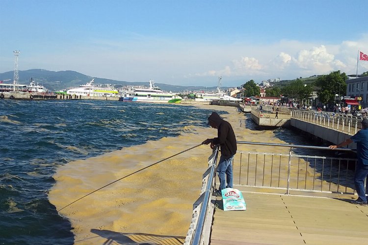 TBMM Genel Kurulu'nda yasalaştı... Müsilajla mücadelede yeni dönem -