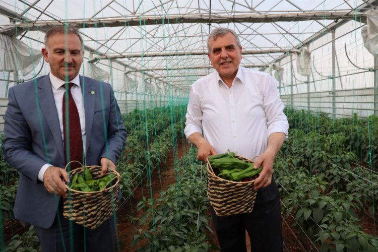 1 milyon isot fidesi toprakla buluştu -