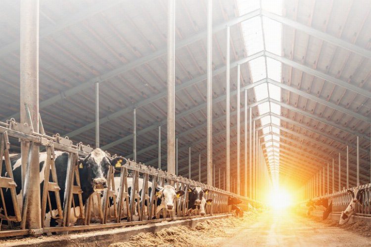 20 milyon Euro hibe desteği! -