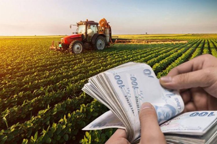 3 ay içinde evlenen çiftçiye 7 bin lira destek! -
