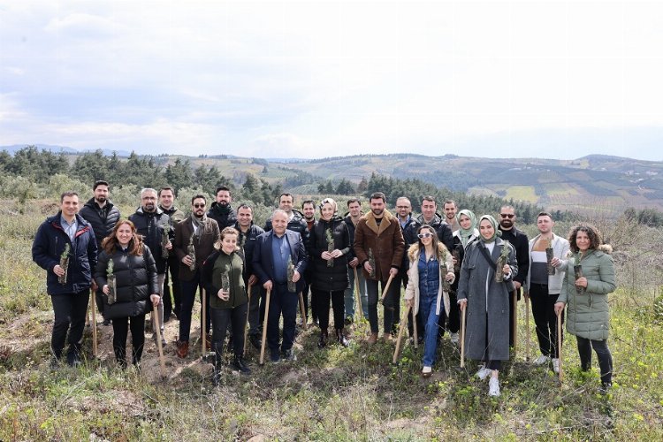 40 bini Bursa'da 100 bin fidanlı orman yeşertiliyor -