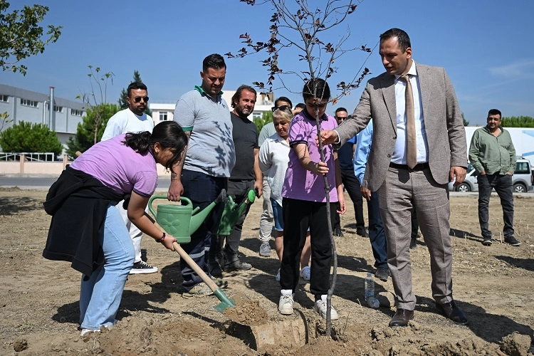 Bornova Laka’da yeni bir hayat yeşeriyor 
