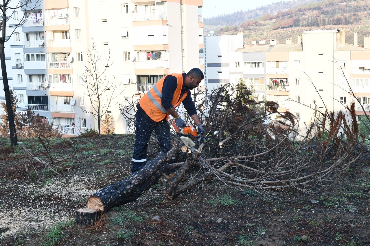 İzmir Çiğli yangın izlerini siliyor! 