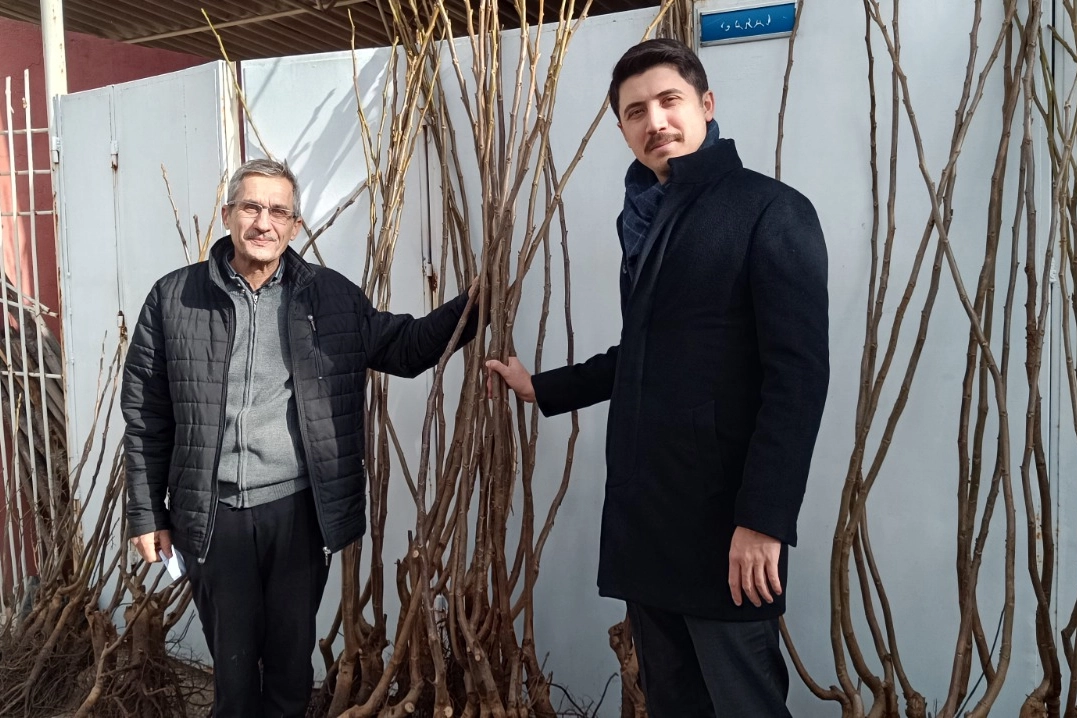 Bilecik Pazaryeri’nde meyvecilikte yeni dönem 