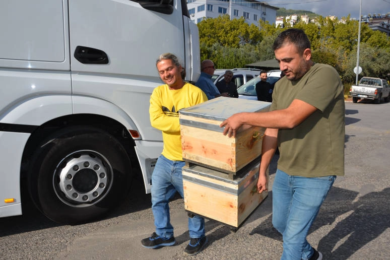 Antalya Büyükşehir'den bal üreticilerine arı kovanı 