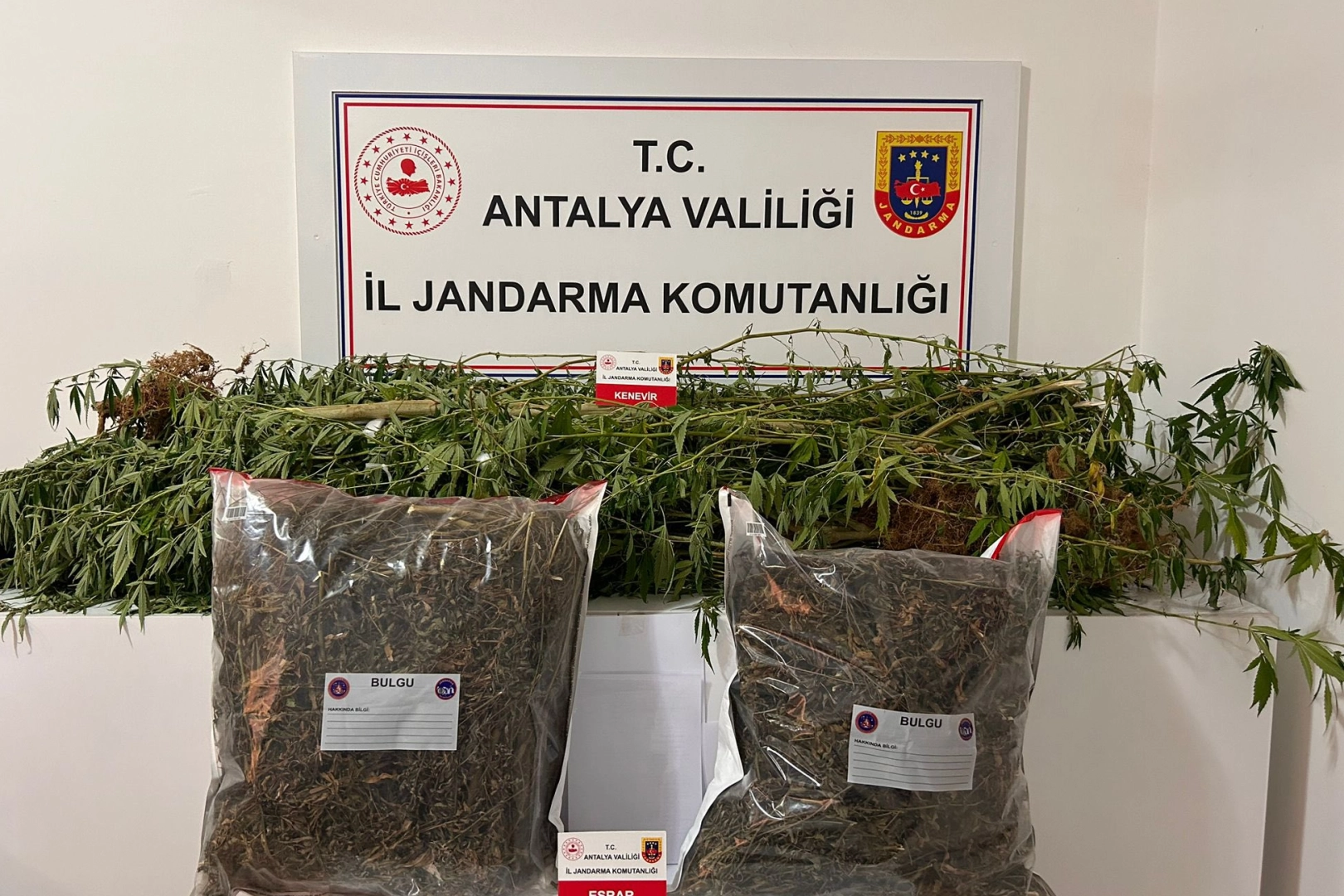 Alanya'da uyuşturucuya geçit yok! 