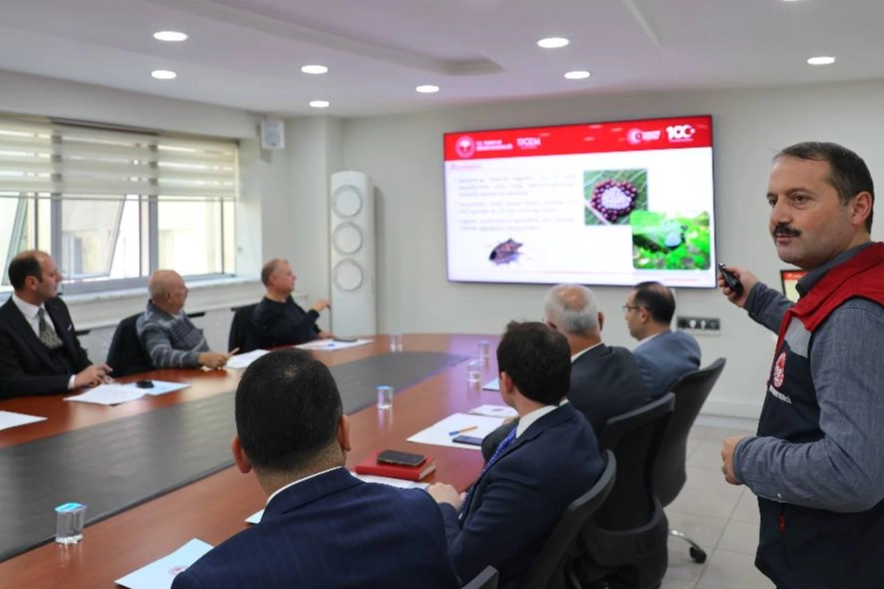 Artvin'de 'kahverengi kokarca' tehdidine karşı mücadele 