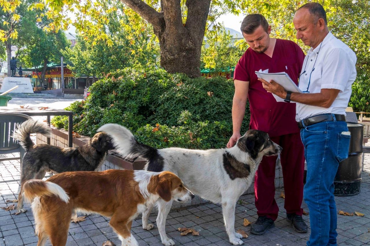 İzmir Büyükşehir can dostlara umut oldu 