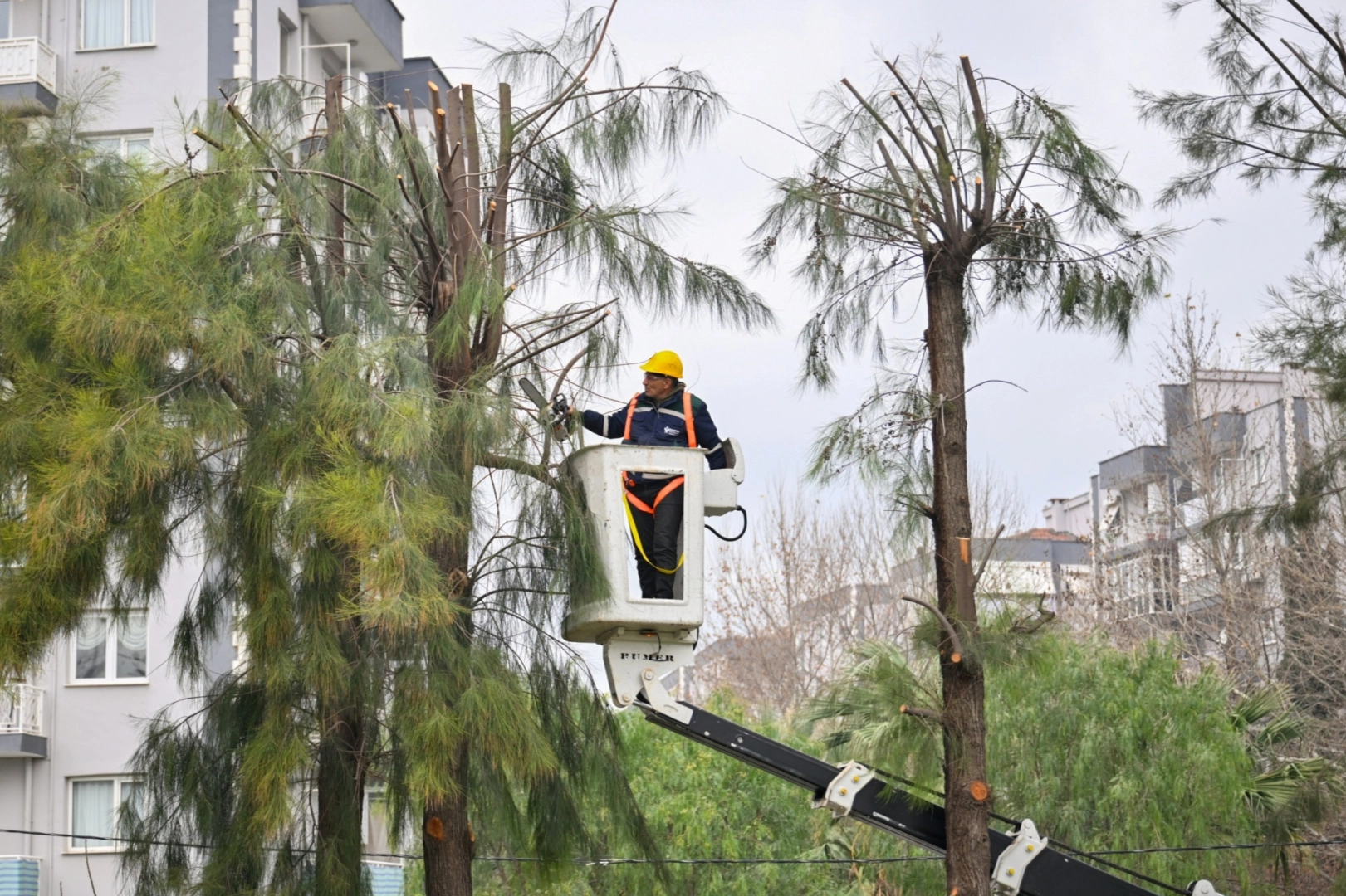 İzmir Bornova’da kışa hazırlık başladı 