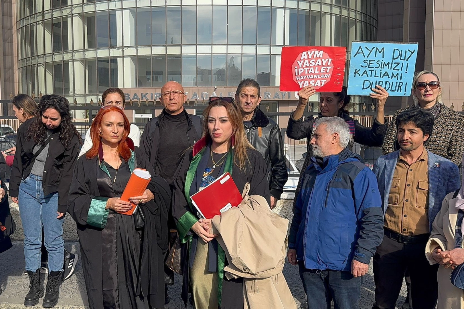 İstanbul Bakırköy'de köpeğe istismar davası sonuçlandı! 