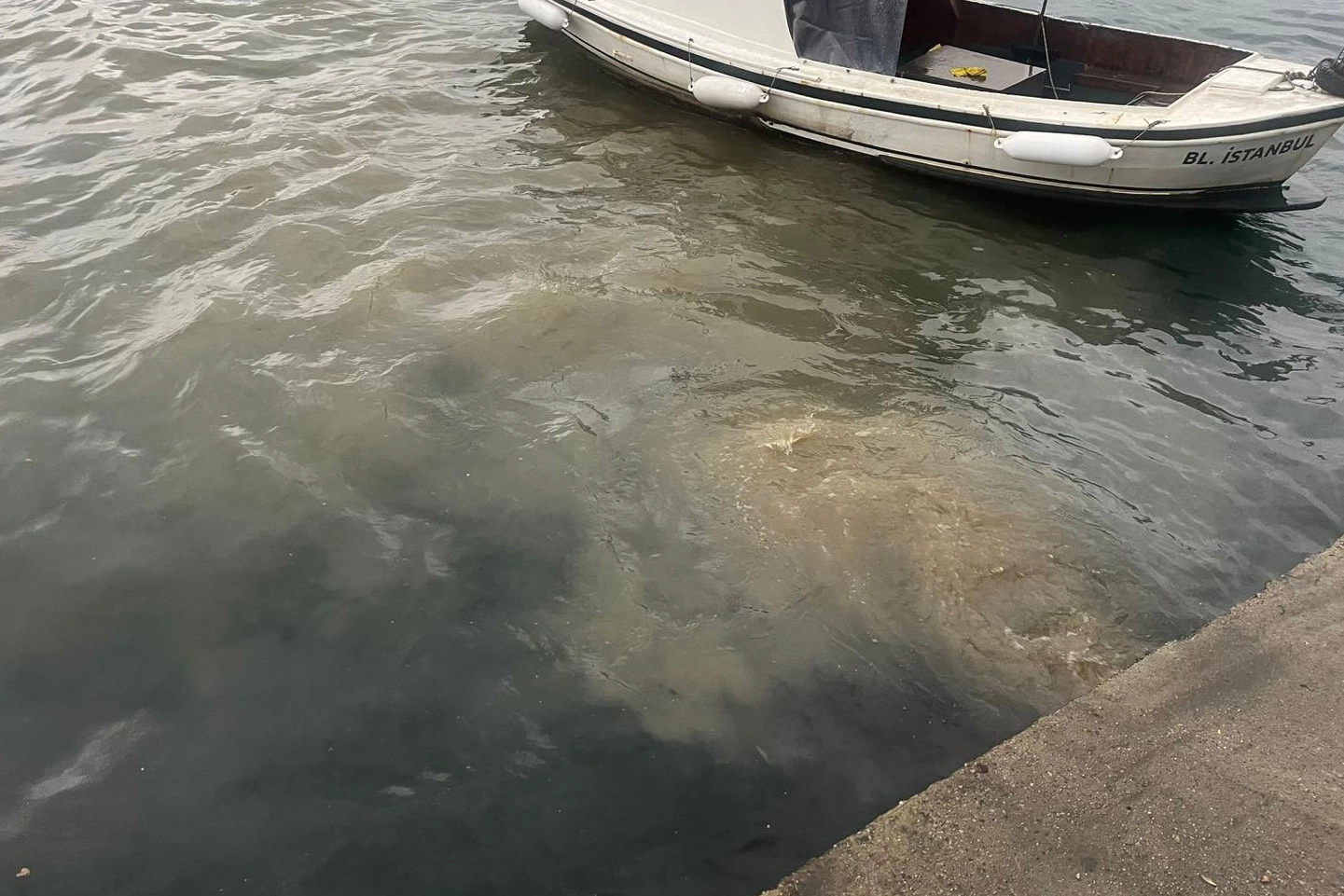İstanbul Üsküdar'da atık su deşarjına inceleme! 