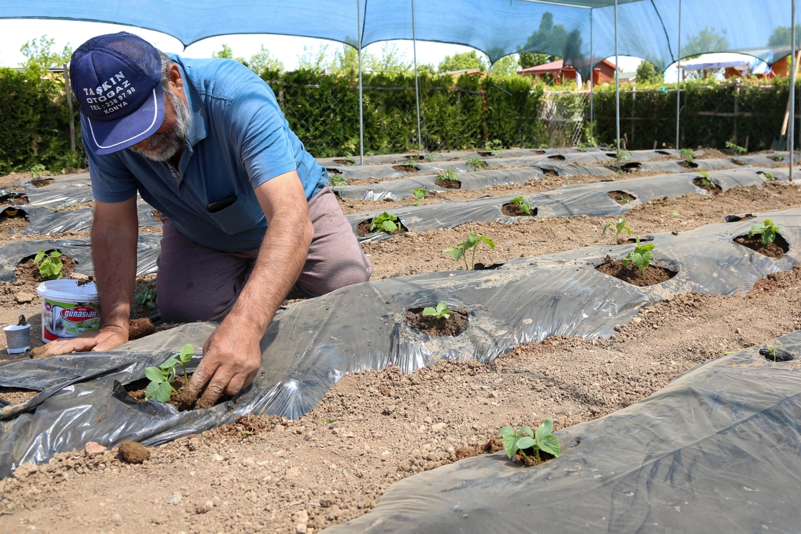 Konya’da başvurular 15 Ocak'ta başlıyor 