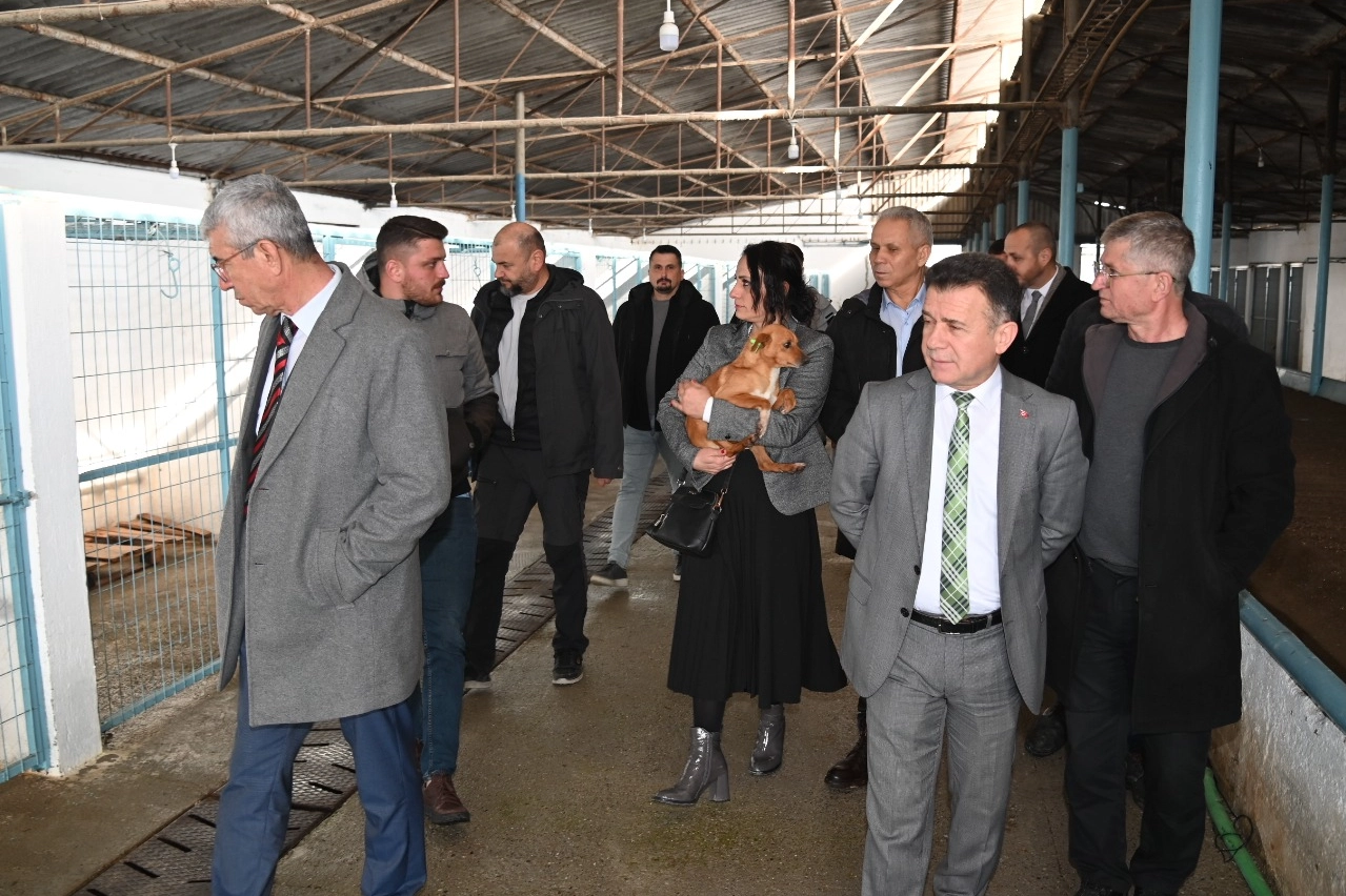 Manisa'da Sokak Hayvanları Komisyonu toplandı 