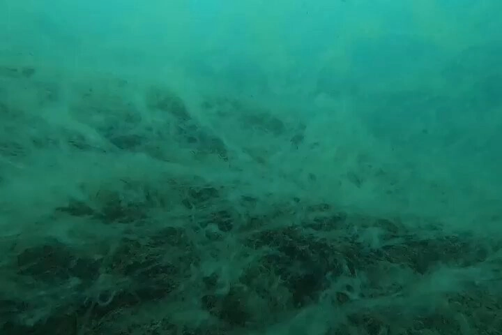 Müsilaj Saros Körfezi'nde! 