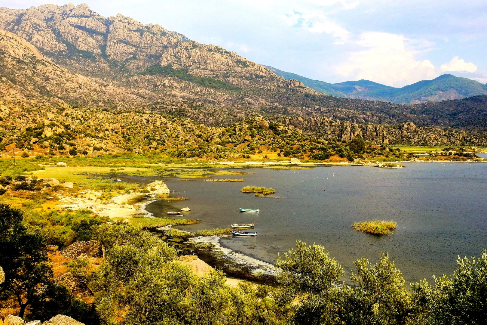 Proje Evi Kooperatifi'nden evrensel imza 