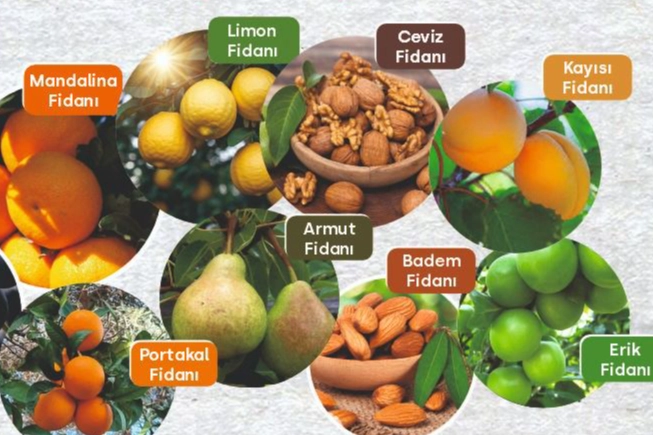 Muğla'da Milas Belediyesi tarımsal desteklemelerini sürdürüyor 