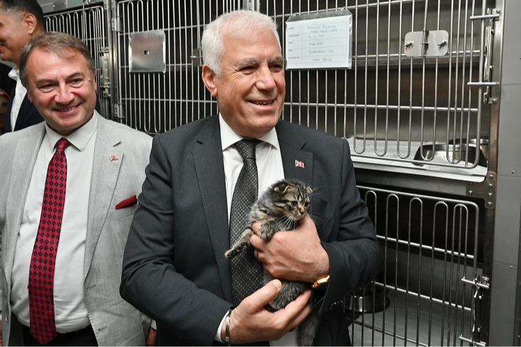 Bursa Büyükşehir'den can dostlar için önemli adım 