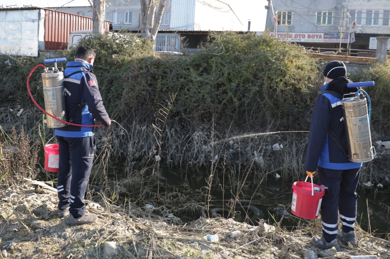 Muğla'da sivrisinek ile mücadele yıl boyunca devam ediyor 