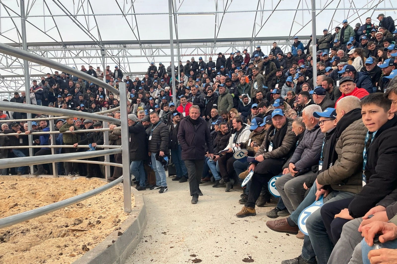 Trakya’nın ilk sütçü mezatı büyük ilgi gördü 