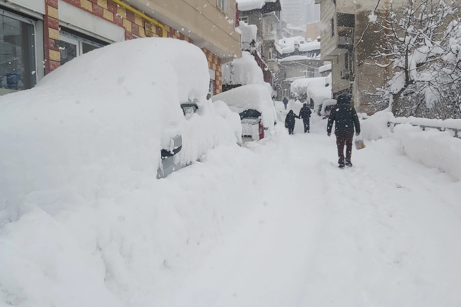 Artvin'de kar 217 köye ulaşımı kesti! 