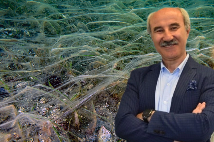 Türkiye gündemi değişse de Marmara'da gündem aynı! 4 aydır Marmara'nın gündemi müsilaj 