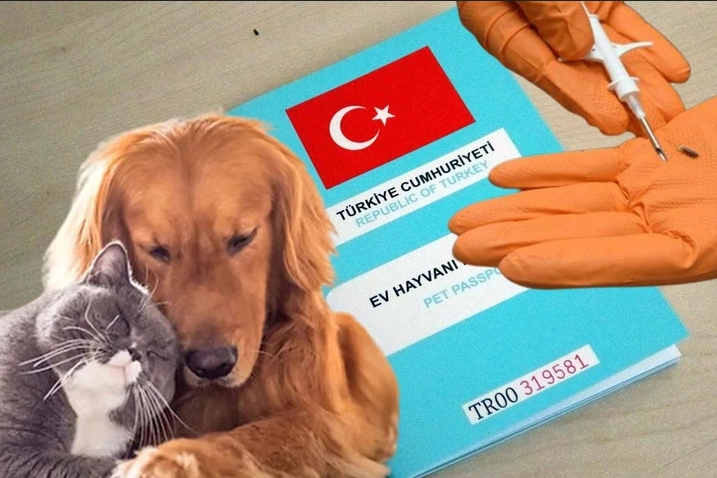 Kimliklendirilmeler yıl sonuna uzatıldı! 