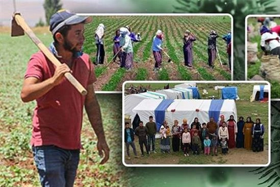 Tarım işçilerine en yüksek ödeme yapan iller? 