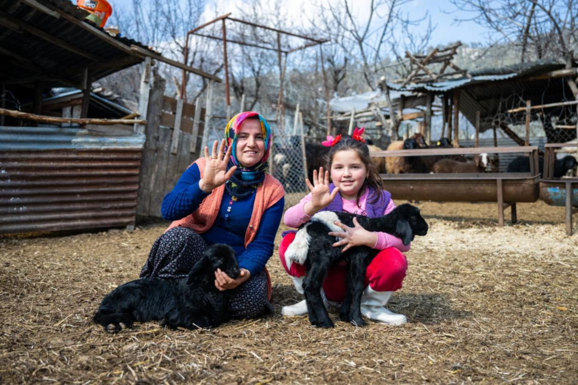 300 yetiştiriciye 7 bin 500 küçükbaş hayvan desteği 