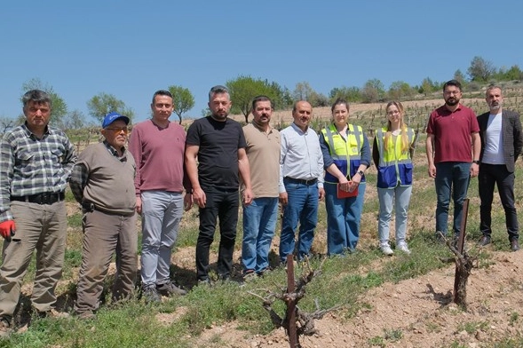 Denizli Büyükşehir üreticileri yalnız bırakmıyor 