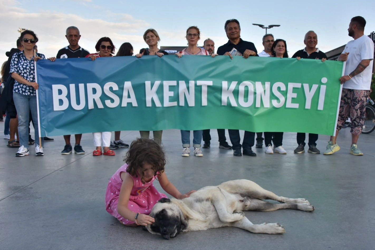 Bursa Kent Konseyi'nden Gemlik'teki yavru kedi vahşetine kınama! 