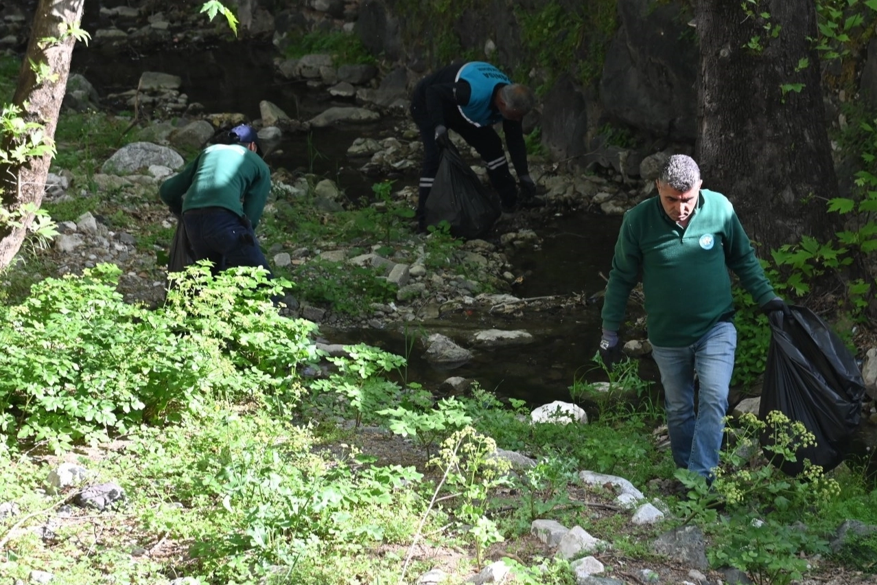 Çaybaşı Deresi’nde temizlik ve ağaçlandırma 