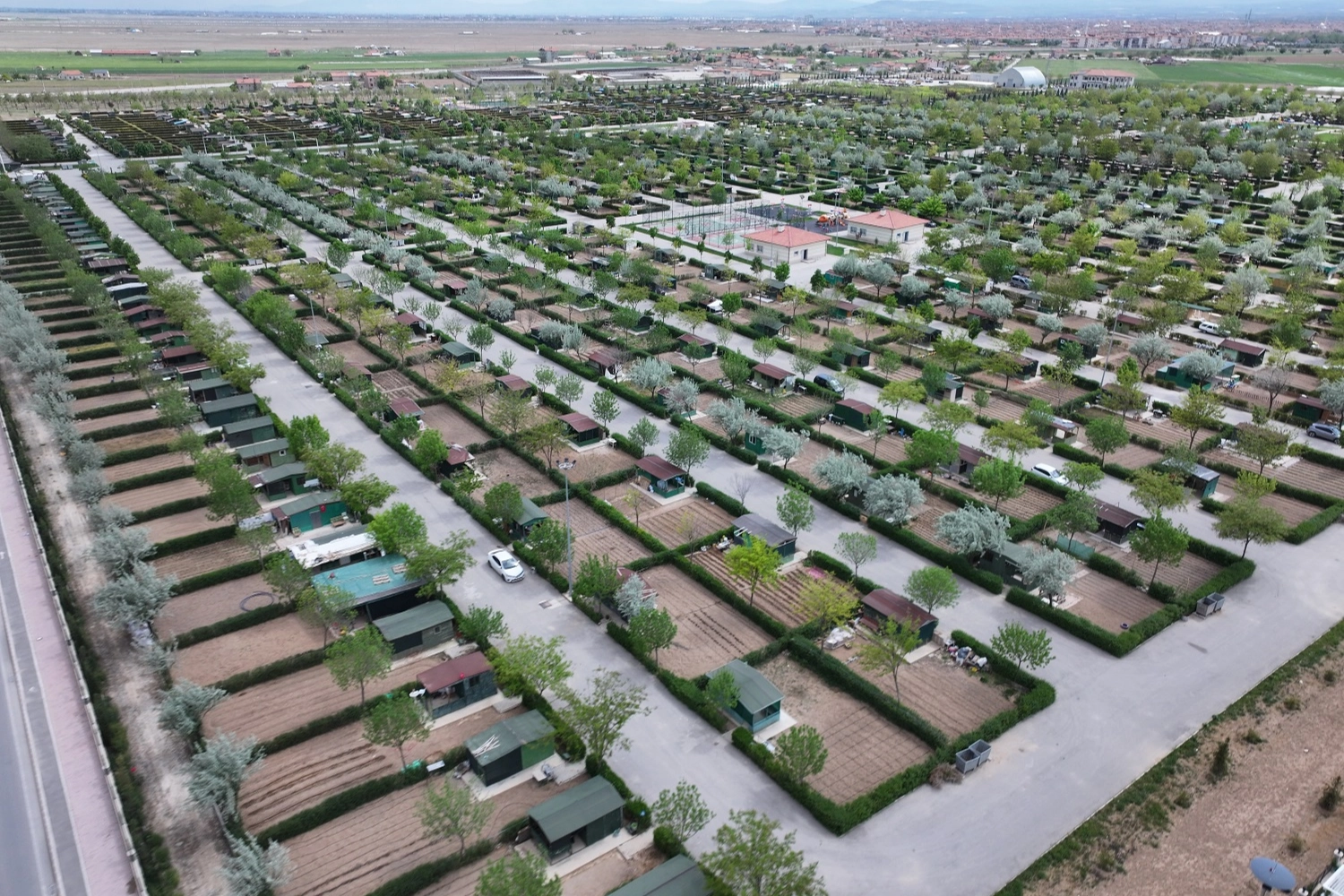 Konya Karatay'da hobi bahçelerinde üretim zamanı 