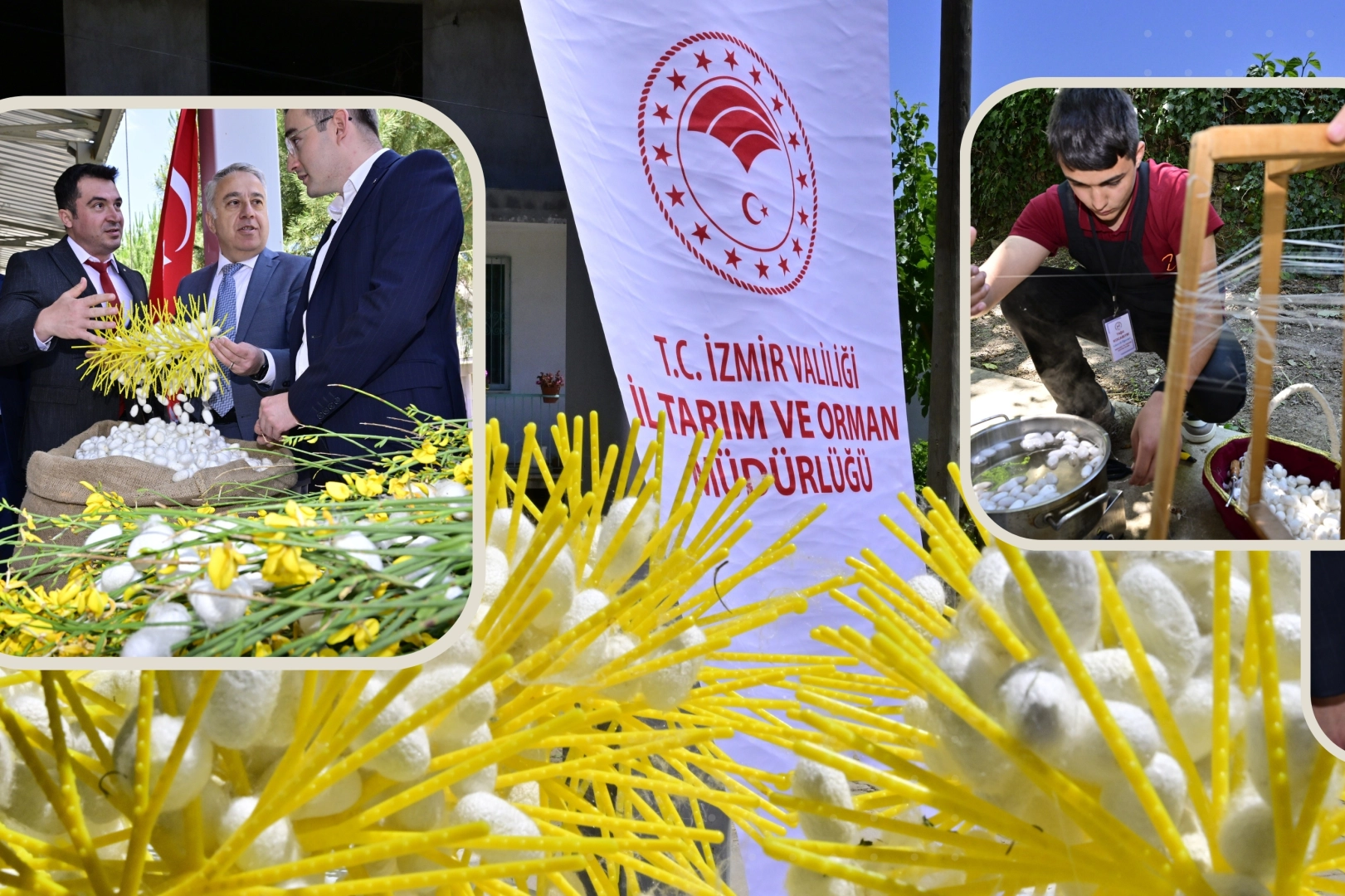 İzmir Beydağ’da Koza Hasat Festivali coşkuyla kutlandı! 