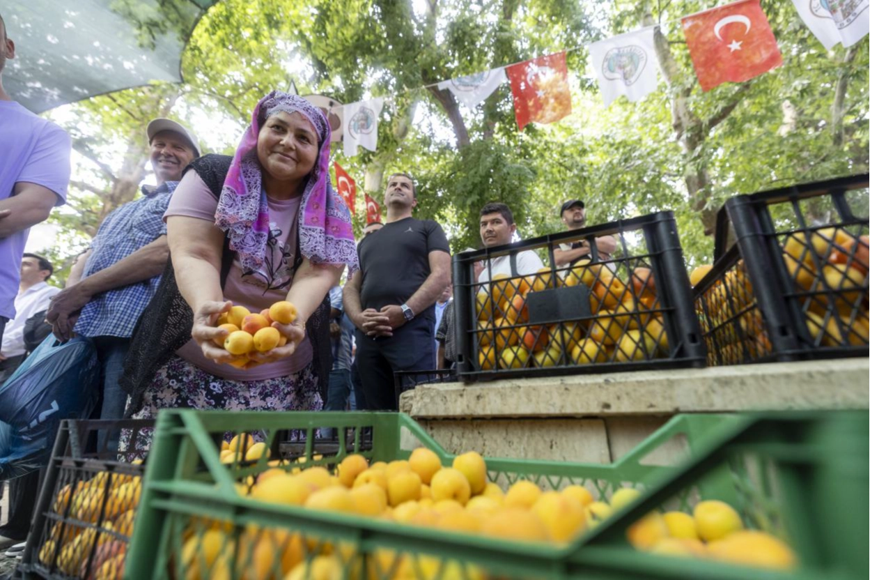 Kayısı Festivali'nde büyük coşku 