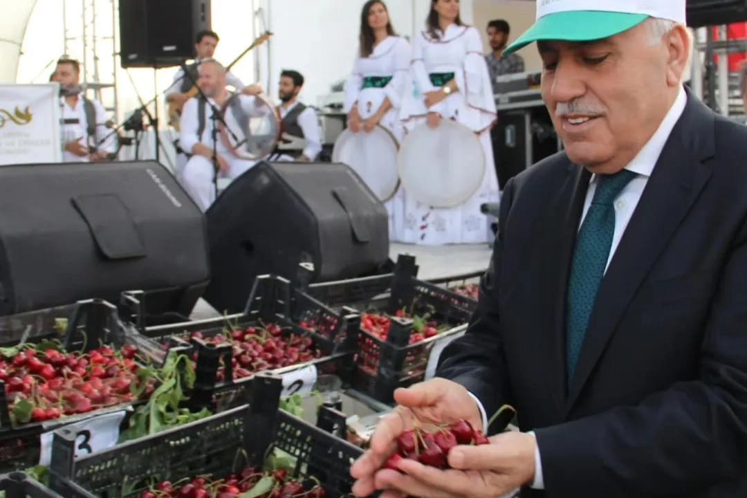 Yeşilli Kiraz Festivali’yle Mardin dünyaya tanıtılıyor 