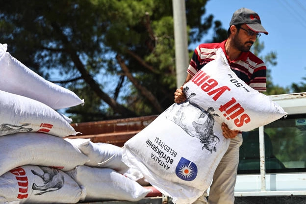 Antalya'da yem desteğiyle süt üretimine güçlü katkı 