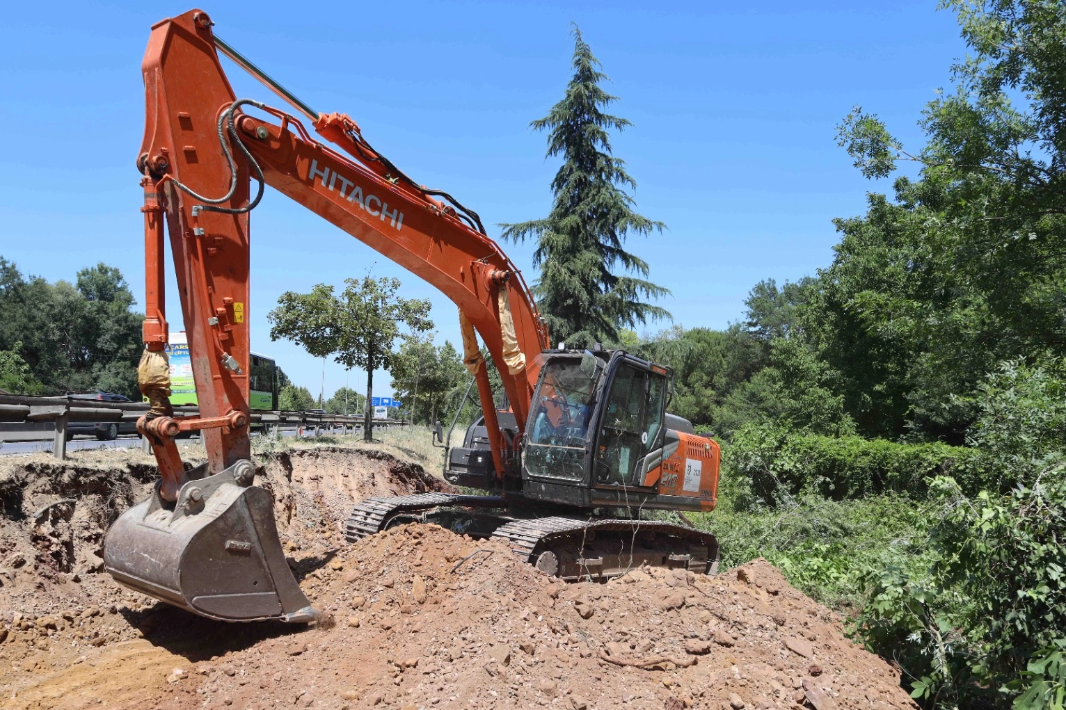 Kocaeli'de sökülen ağaçlar geleceğe taşınıyor 