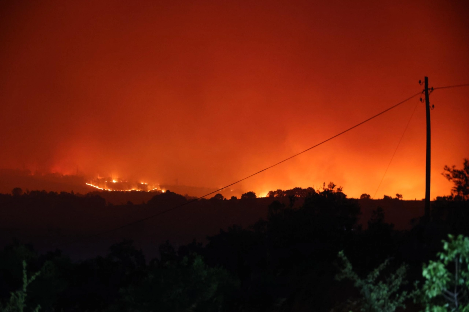 Bilecik’te korkutan orman yangını 