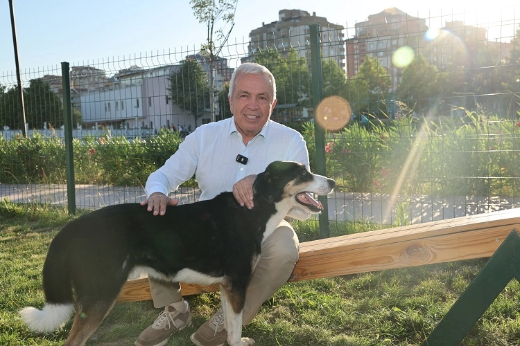 Bursa Nilüfer’de can dostlar yeni yuvalarına kavuştu 