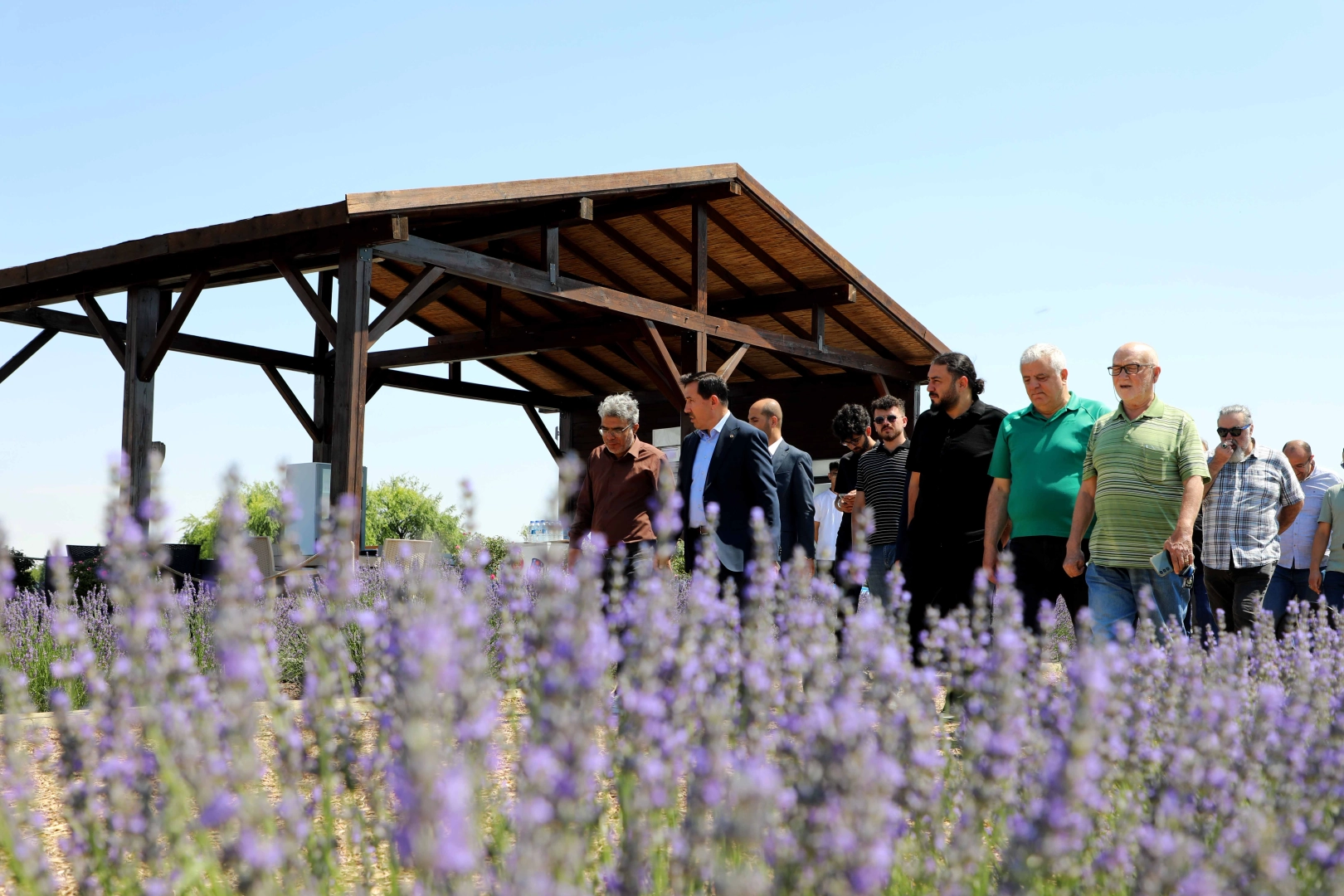 Konya Karatay Lavanta Bahçeleri'nde görsel şölen heyecanı 