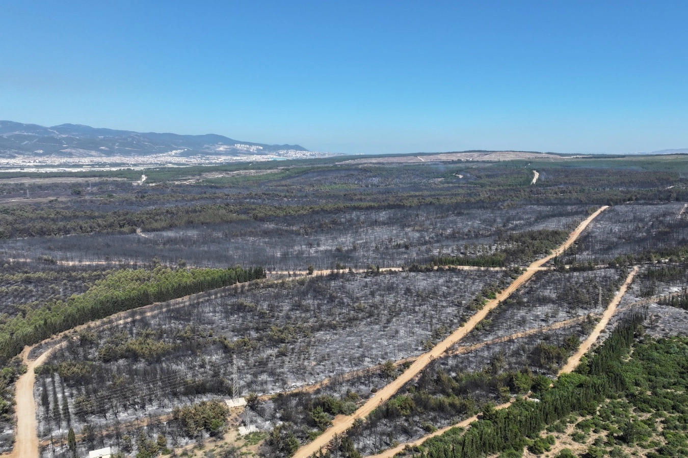 İzmir’de yangınlara karşı olağanüstü yol haritası belirlendi 