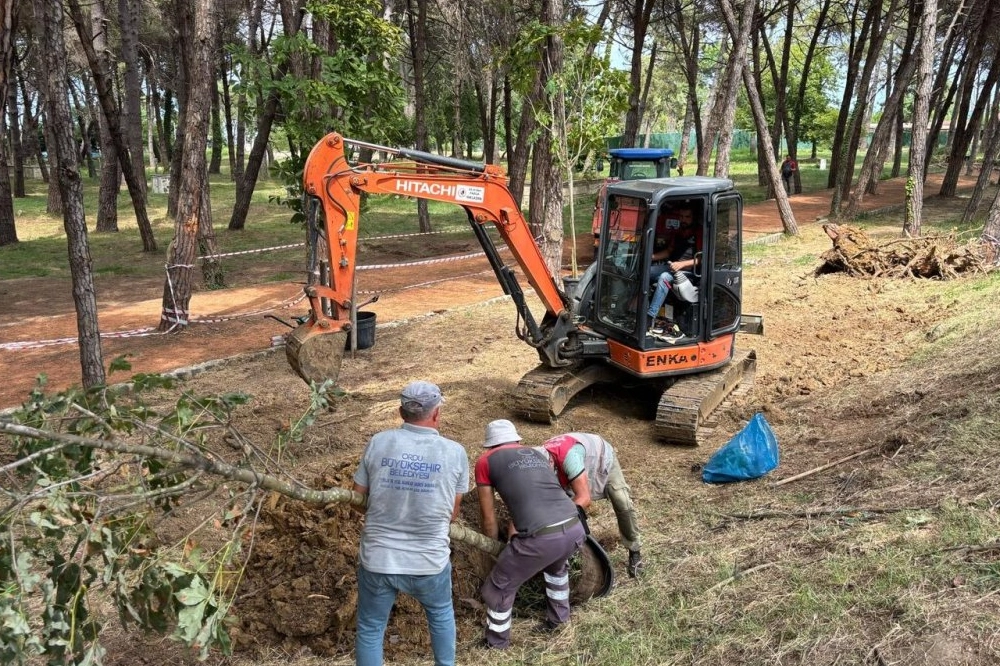 Ordu Ünye Çamlık’ta doğa yenileniyor 