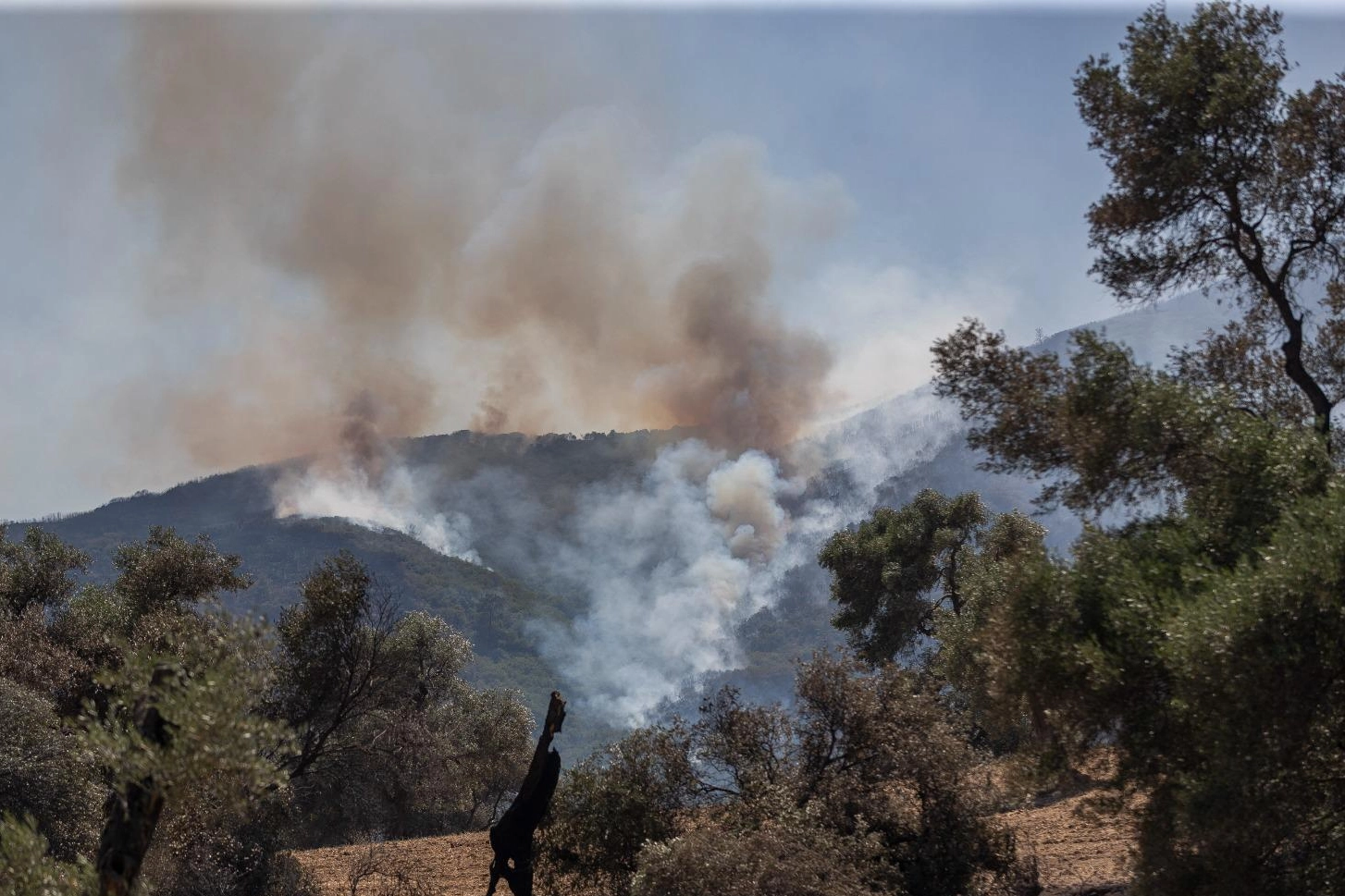Kocaeli Aydınlar Ocağı’ndan yangınlarla mücadeleye 9 maddelik öneri 