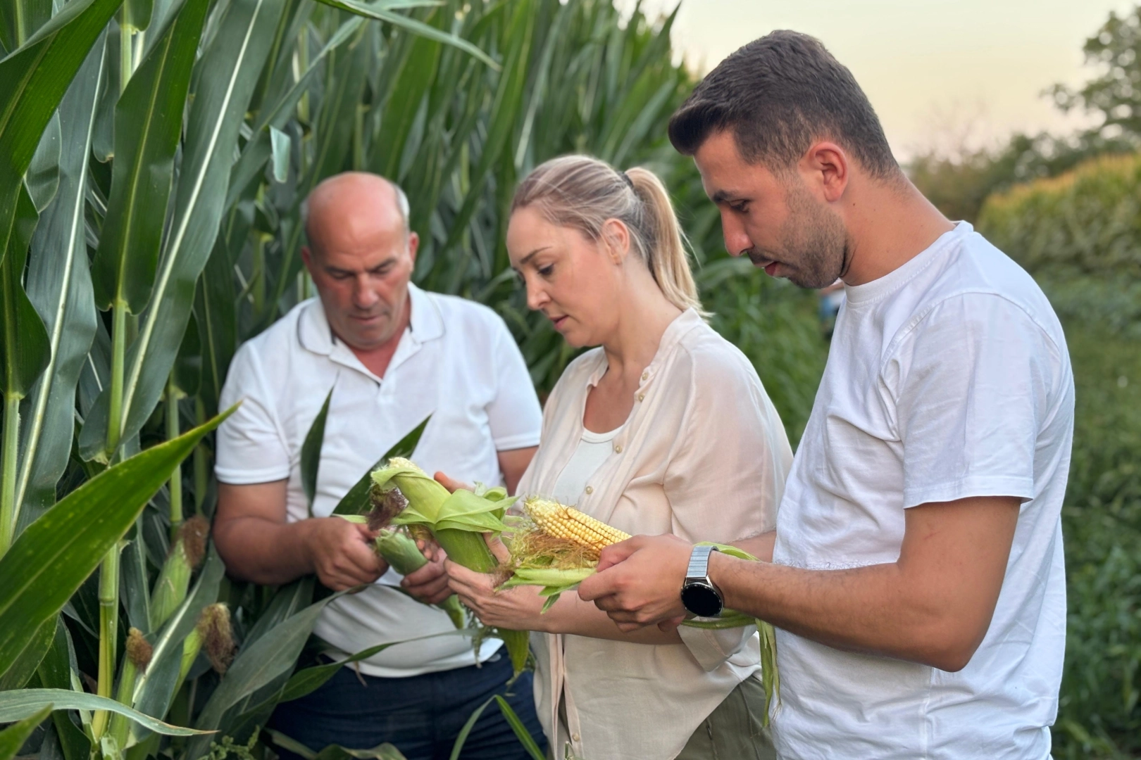CHP Edirne İl Başkanı Taybıllı’dan çiftçi krizi uyarısı 