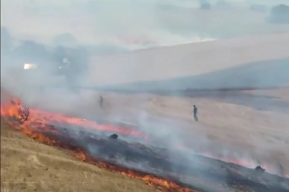 İstanbul Büyükçekmece'de otluk alanda yangın 