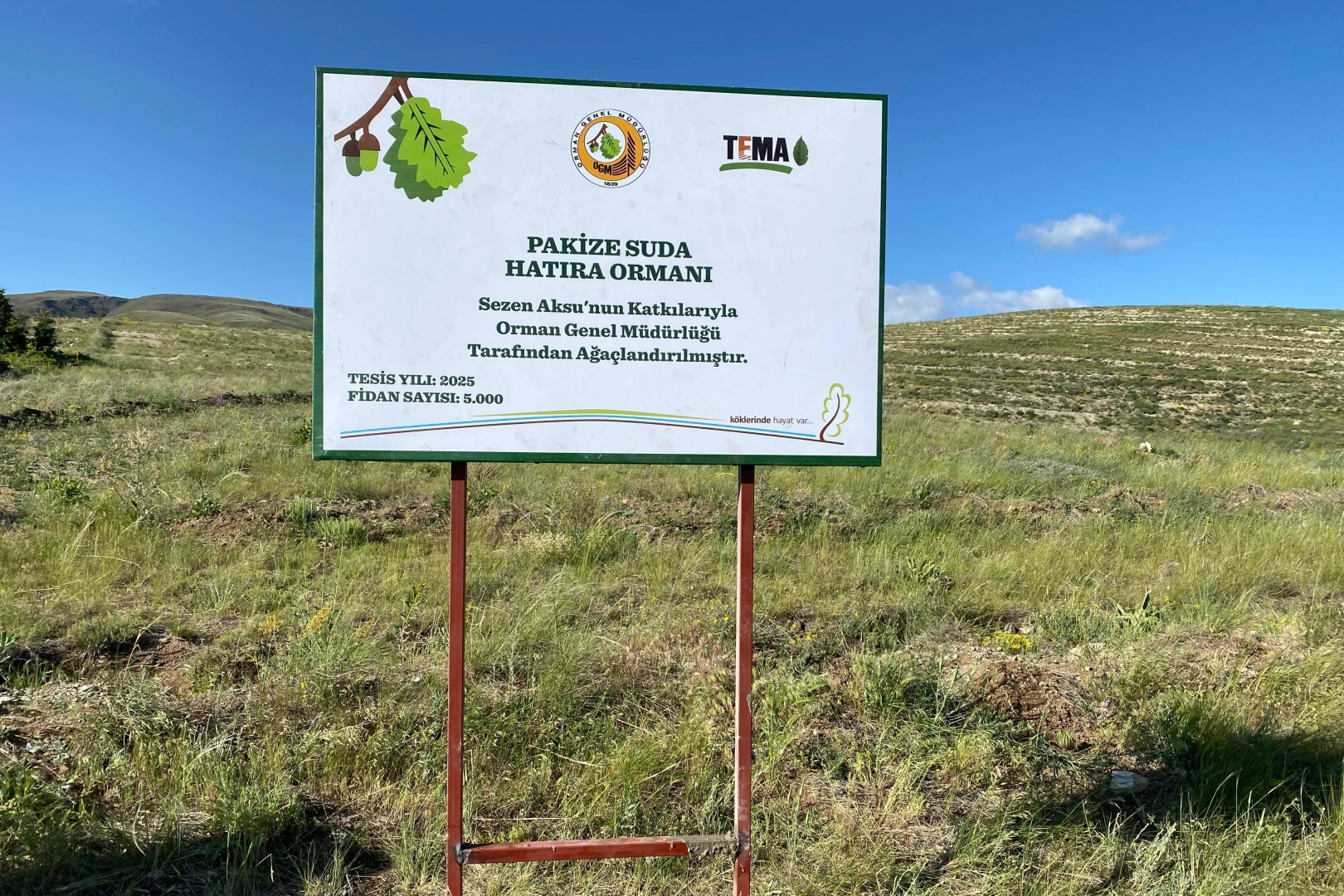 TEMA gönüllüsü Sezen Aksu, Pakize Suda adını hatıra ormanı ile yaşatacak 