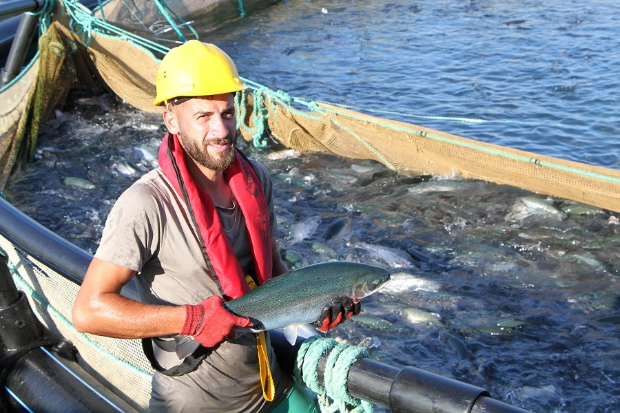 Bu filmin başrolünde Türk Somonu oynadı 