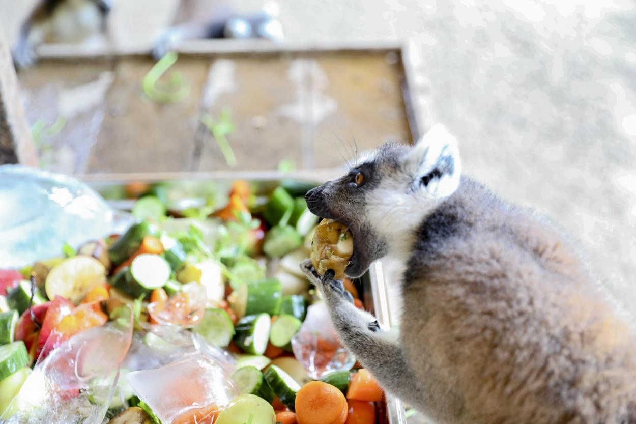 Mersin Tarsus Doğa Parkı’nda yaz tedbirleri 