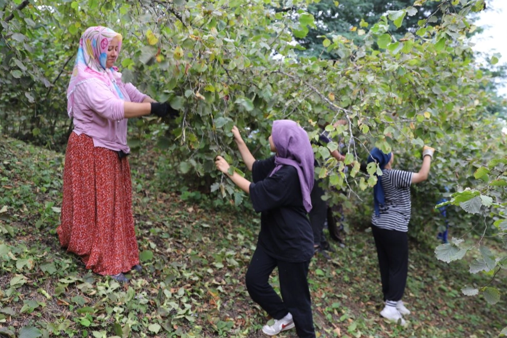 ‘Fındık Dalda Aklın İşçide Kalmasın’ projesi 6. yılında 